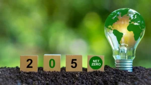 「2050年カーボンニュートラル」の実現に向けた取組み事例やポイントを分かりやすく解説