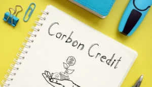 カーボンクレジットとは？｜仕組みや企業が取り組むメリット・デメリット、最新動向をわかりやすく解説