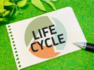 ライフサイクルコスト（LCC）とは？低減ポイントやランニングコストとの違いも解説